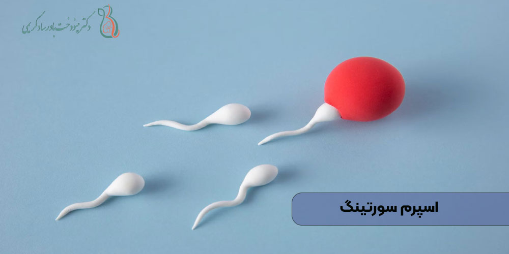 اسپرم ‌سورتینگ