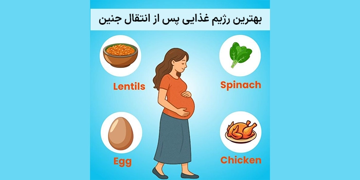 تغذیه بعد از IVF؛ بهترین رژیم غذایی پس از انتقال جنین